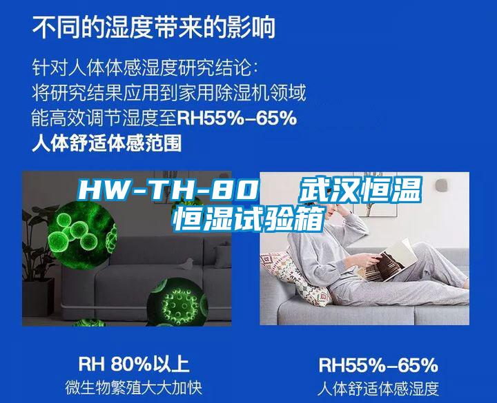 HW-TH-80  武漢恒溫恒濕試驗箱