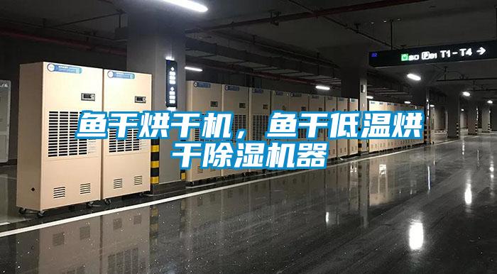 魚干烘干機，魚干低溫烘干除濕機器