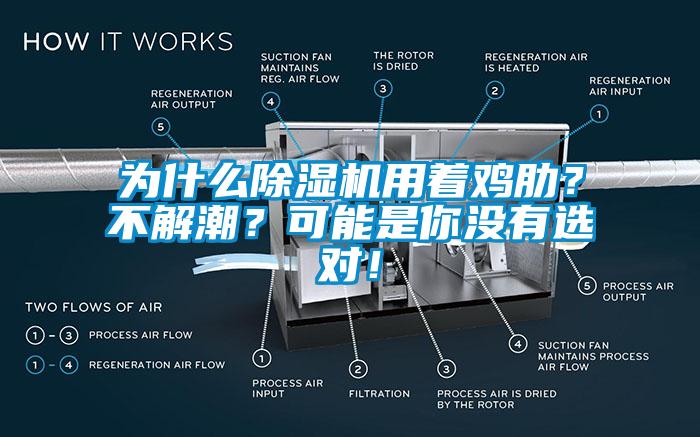 為什么除濕機用著雞肋？不解潮？可能是你沒有選對！