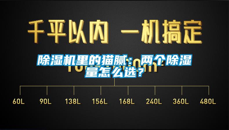 除濕機里的貓膩：兩個除濕量怎么選？