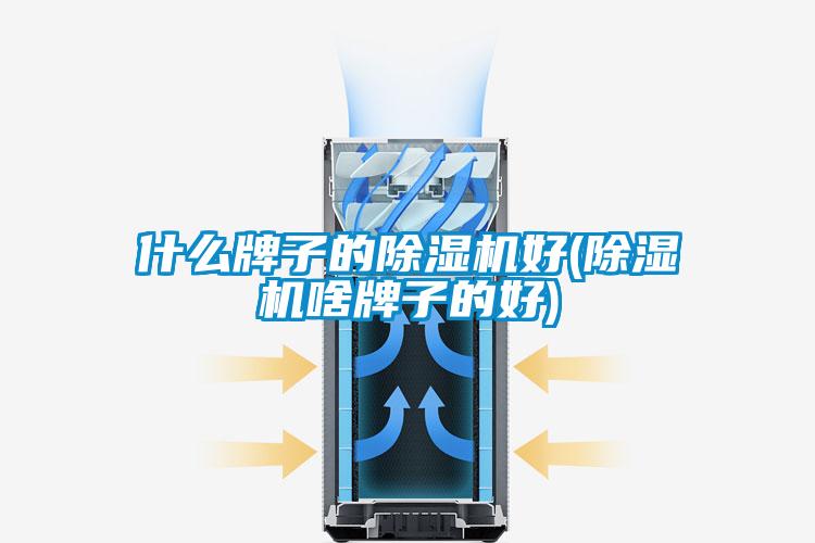 什么牌子的除濕機(jī)好(除濕機(jī)啥牌子的好)
