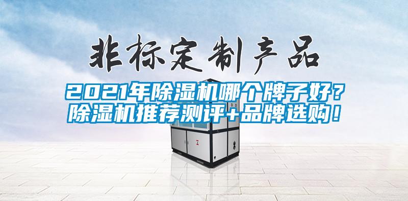 2021年除濕機哪個牌子好？除濕機推薦測評+品牌選購！
