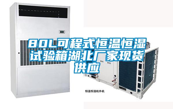 80L可程式恒溫恒濕試驗箱湖北廠家現貨供應