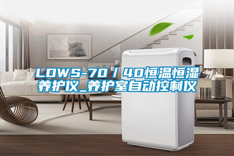 LDWS-70／40恒溫恒濕養護儀_養護室自動控制儀