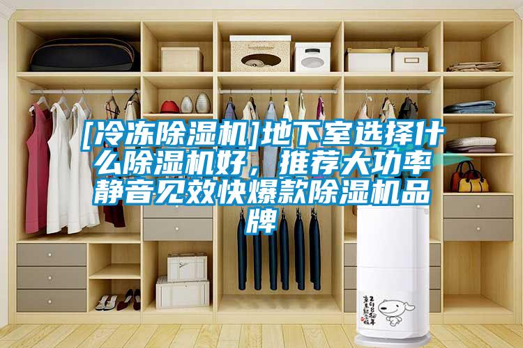 [冷凍除濕機]地下室選擇什么除濕機好，推薦大功率靜音見效快爆款除濕機品牌