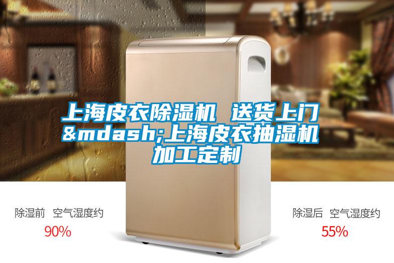 上海皮衣除濕機 送貨上門 —上海皮衣抽濕機 加工定制