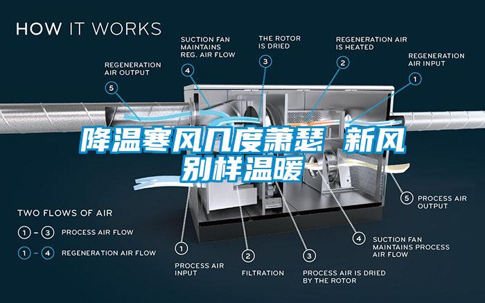 降溫寒風幾度蕭瑟 新風別樣溫暖