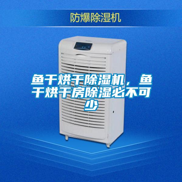 魚干烘干除濕機(jī)，魚干烘干房除濕必不可少