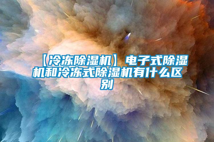 【冷凍除濕機】電子式除濕機和冷凍式除濕機有什么區別