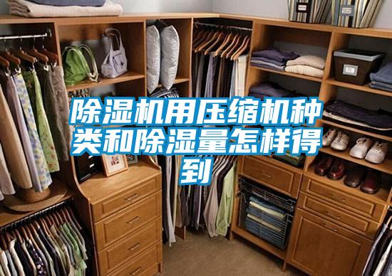 除濕機用壓縮機種類和除濕量怎樣得到