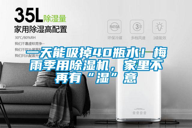 一天能吸掉40瓶水！梅雨季用除濕機(jī)，家里不再有“濕”意