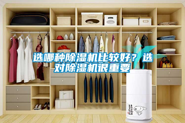 選哪種除濕機(jī)比較好？選對(duì)除濕機(jī)很重要