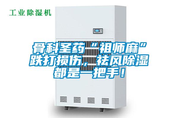 骨科圣藥“祖師麻”跌打損傷，祛風除濕都是一把手！