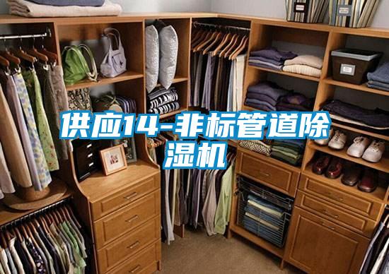 供應14-非標管道除濕機