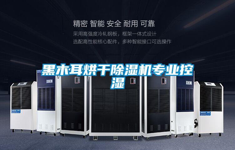 黑木耳烘干除濕機專業控濕