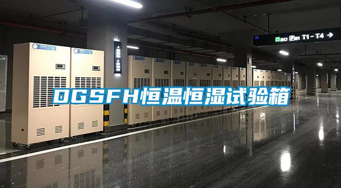 DGSFH恒溫恒濕試驗箱