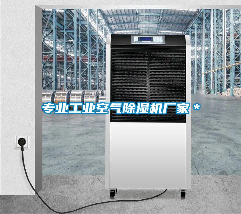 專業(yè)工業(yè)空氣除濕機(jī)廠家＊