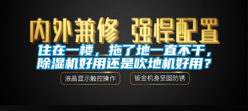 住在一樓，拖了地一直不干，除濕機好用還是吹地機好用？