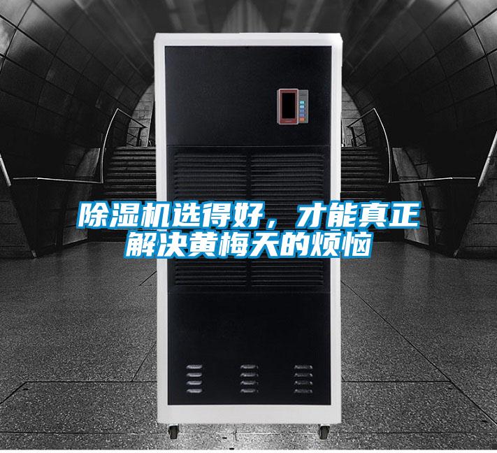 除濕機選得好，才能真正解決黃梅天的煩惱