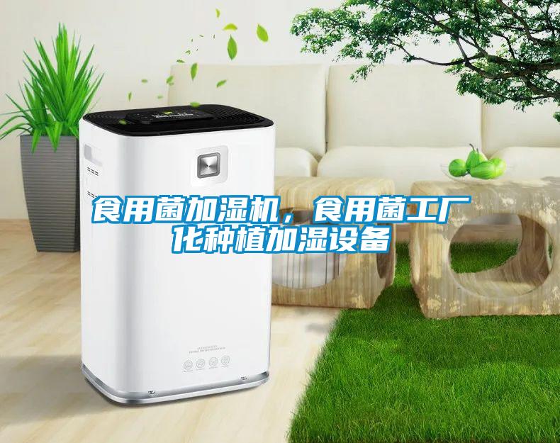 食用菌加濕機，食用菌工廠化種植加濕設(shè)備