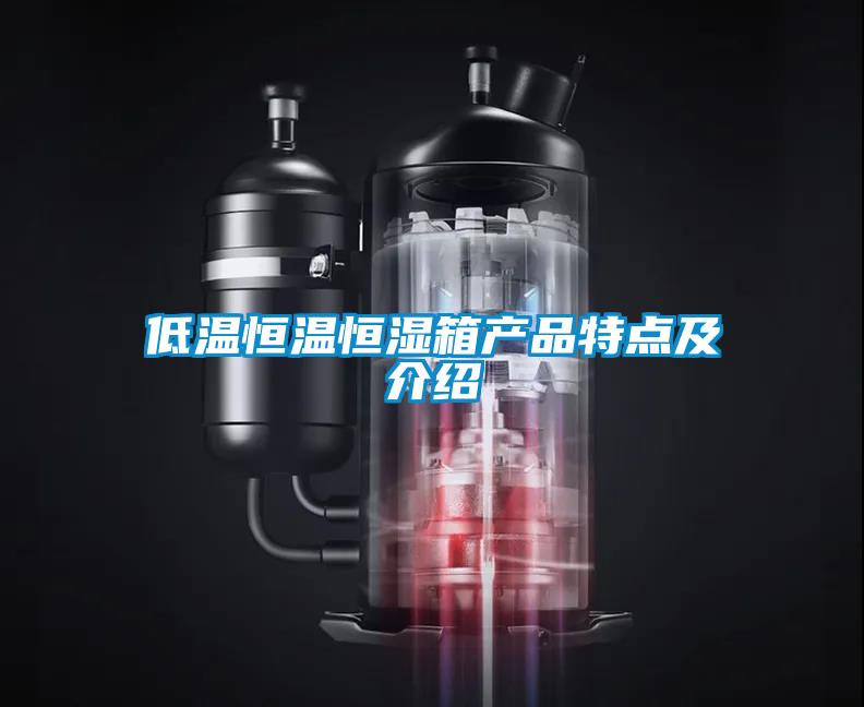 低溫恒溫恒濕箱產品特點及介紹