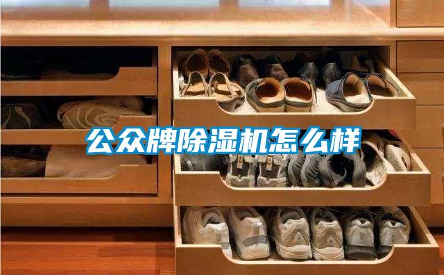 公眾牌除濕機怎么樣
