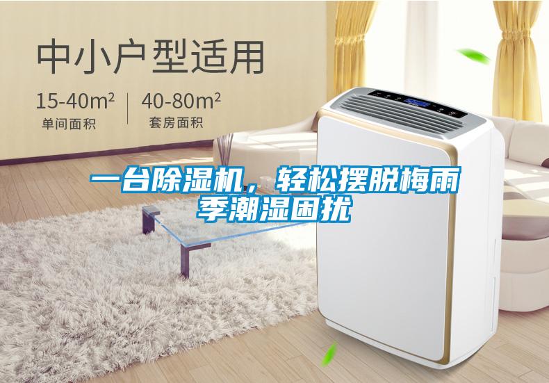 一臺除濕機，輕松擺脫梅雨季潮濕困擾