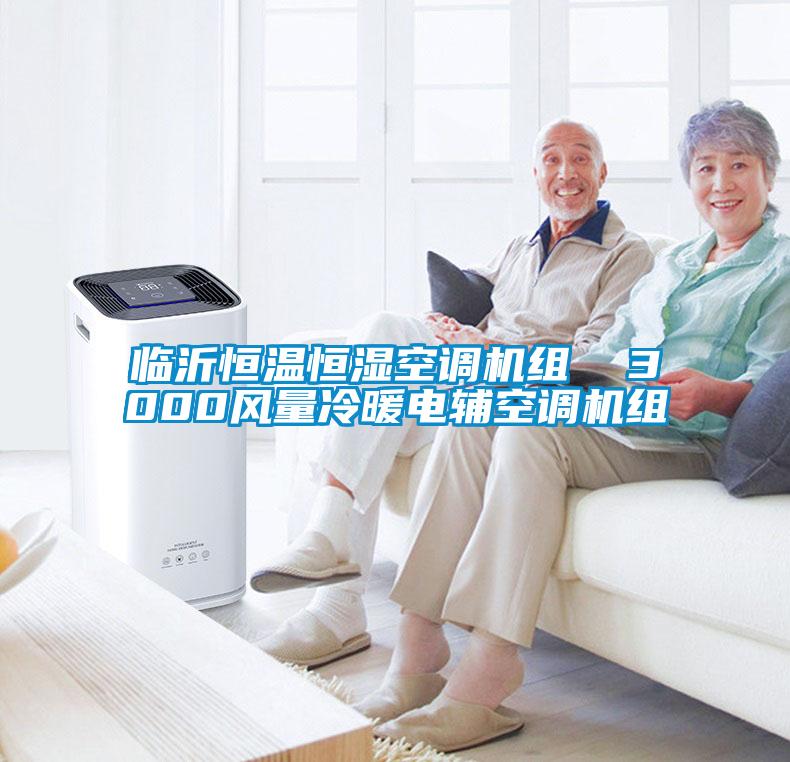 臨沂恒溫恒濕空調機組  3000風量冷暖電輔空調機組