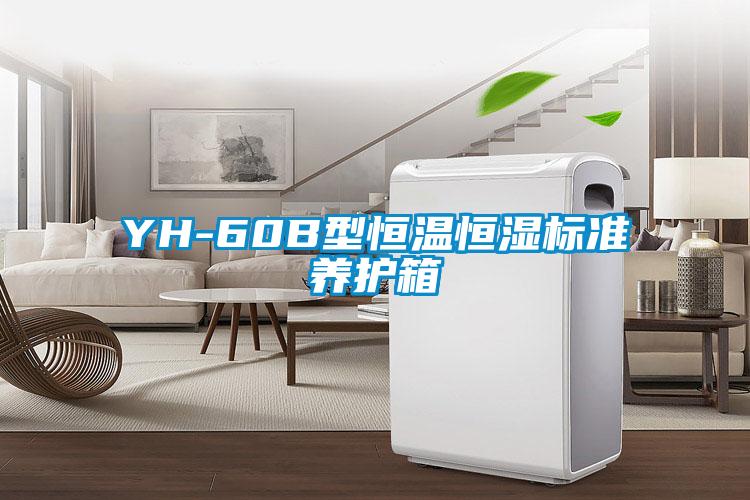 YH-60B型恒溫恒濕標準養護箱