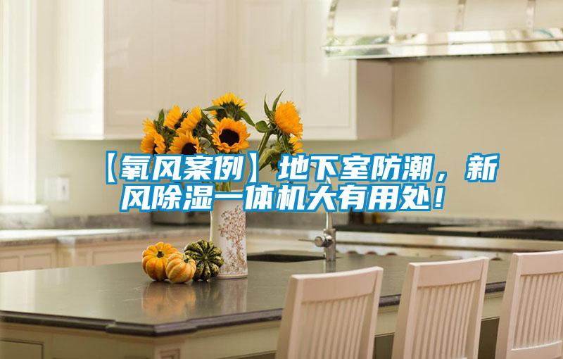【氧風案例】地下室防潮，新風除濕一體機大有用處！