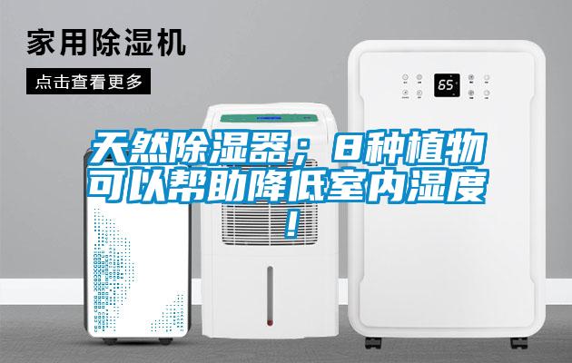 天然除濕器；8種植物可以幫助降低室內濕度！