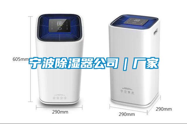 寧波除濕器公司｜廠家