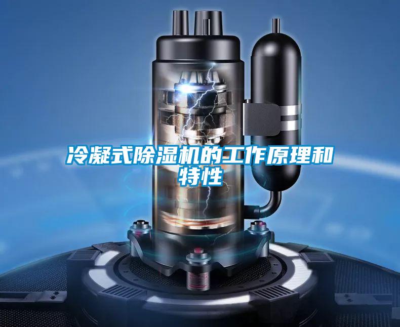 冷凝式除濕機的工作原理和特性