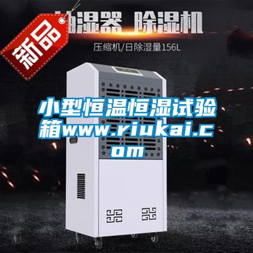 小型恒溫恒濕試驗箱www.riukai.com