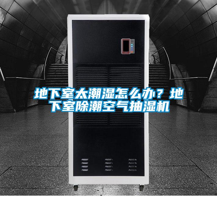 地下室太潮濕怎么辦？地下室除潮空氣抽濕機(jī)