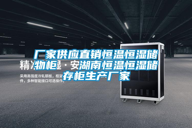 廠家供應直銷恒溫恒濕儲物柜   湖南恒溫恒濕儲存柜生產廠家