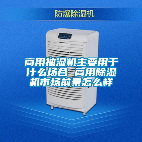 商用抽濕機主要用于什么場合 商用除濕機市場前景怎么樣