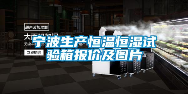 寧波生產恒溫恒濕試驗箱報價及圖片