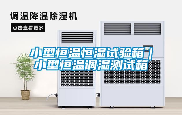小型恒溫恒濕試驗箱｜小型恒溫調濕測試箱