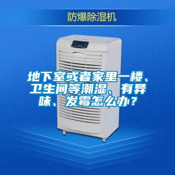 地下室或者家里一樓、衛(wèi)生間等潮濕、有異味、發(fā)霉怎么辦？