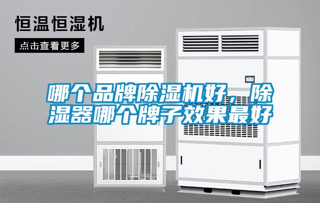 哪個品牌除濕機好，除濕器哪個牌子效果最好
