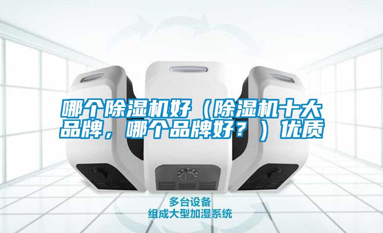 哪個除濕機好（除濕機十大品牌，哪個品牌好？）優質