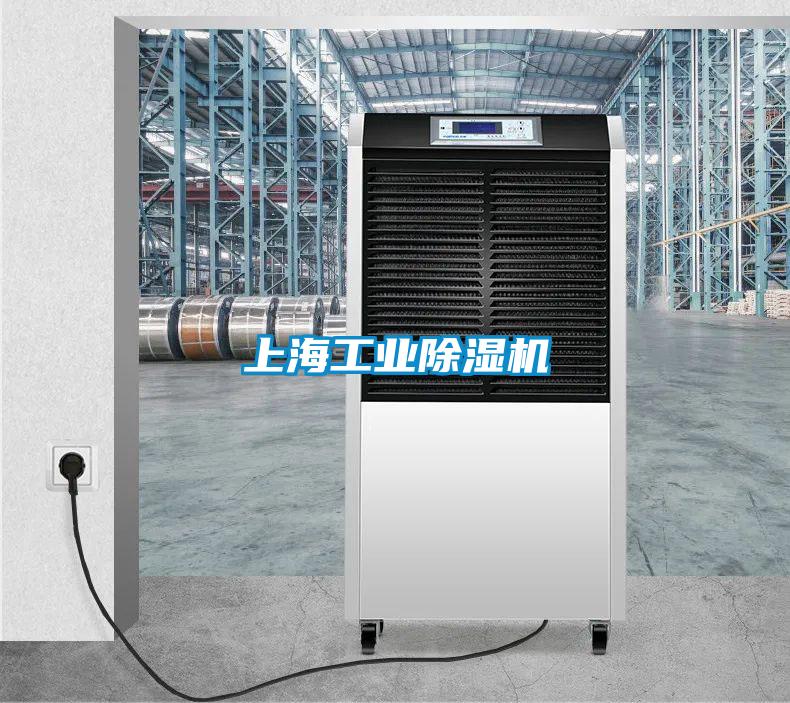 上海工業(yè)除濕機(jī)