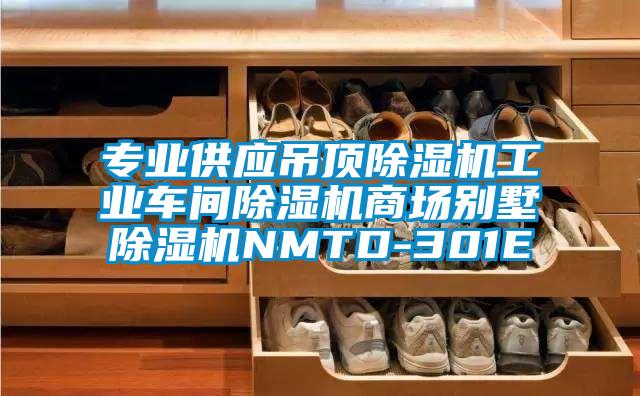 專業供應吊頂除濕機工業車間除濕機商場別墅除濕機NMTD-301E