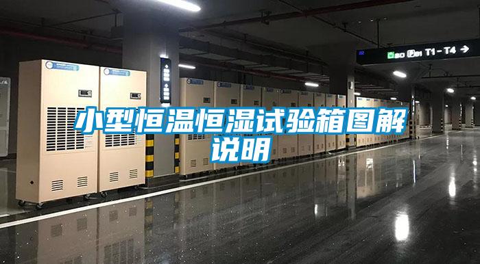 小型恒溫恒濕試驗箱圖解說明