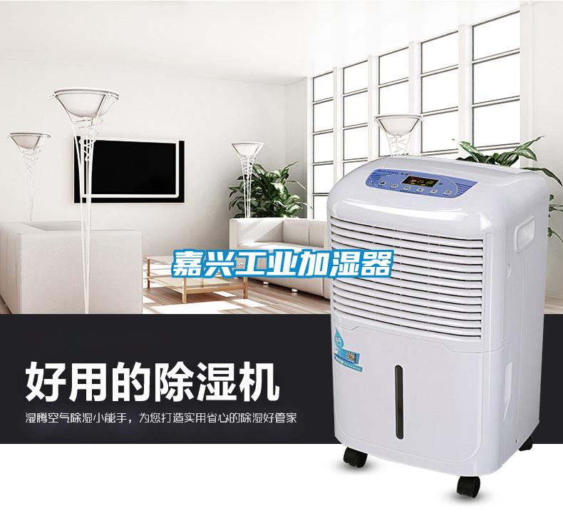 嘉興工業加濕器