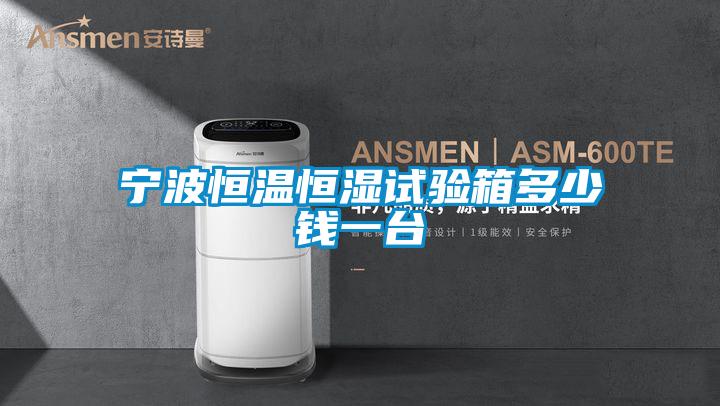 寧波恒溫恒濕試驗箱多少錢一臺