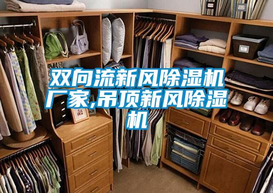 雙向流新風除濕機廠家,吊頂新風除濕機