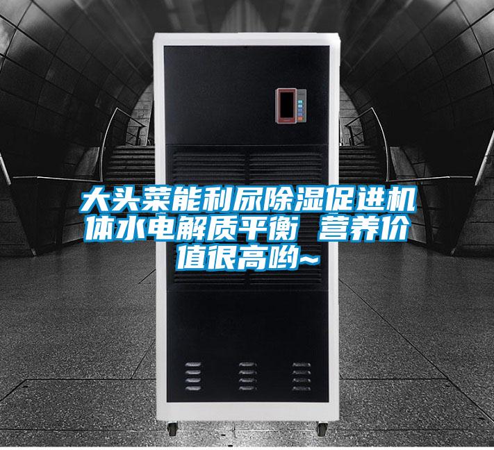 大頭菜能利尿除濕促進機體水電解質平衡 營養價值很高喲~