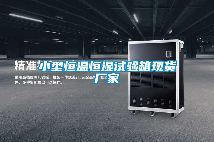 小型恒溫恒濕試驗箱現貨廠家